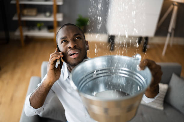 Best Carpet water damage restoration  in Flemington, NJ