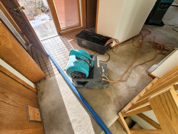 Best Flood damage cleanup  in Flemington, NJ