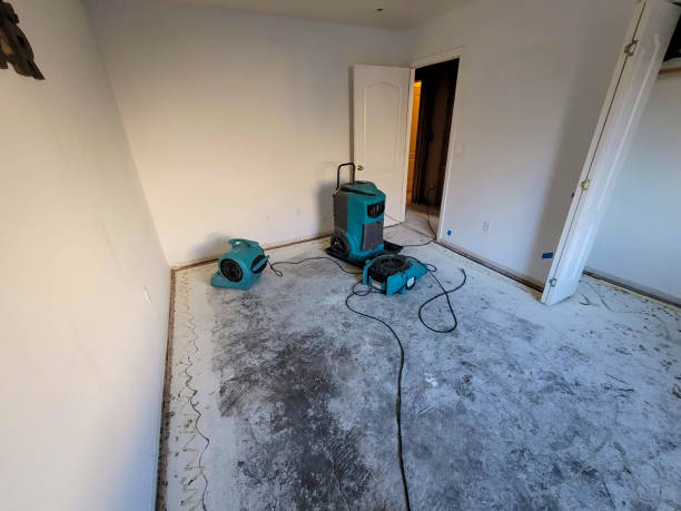 Best Commercial water damage restoration  in Flemington, NJ