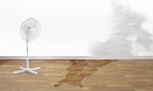 Best 24/7 water damage repair  in Flemington, NJ