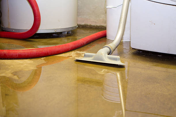 Best 24/7 water damage repair  in Flemington, NJ