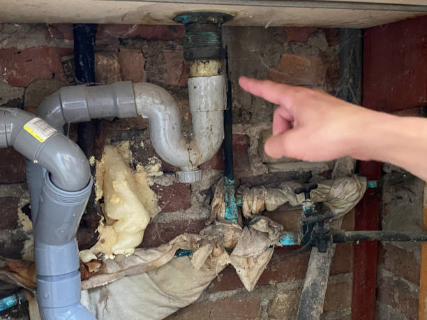 Best Flooded house restoration  in Flemington, NJ